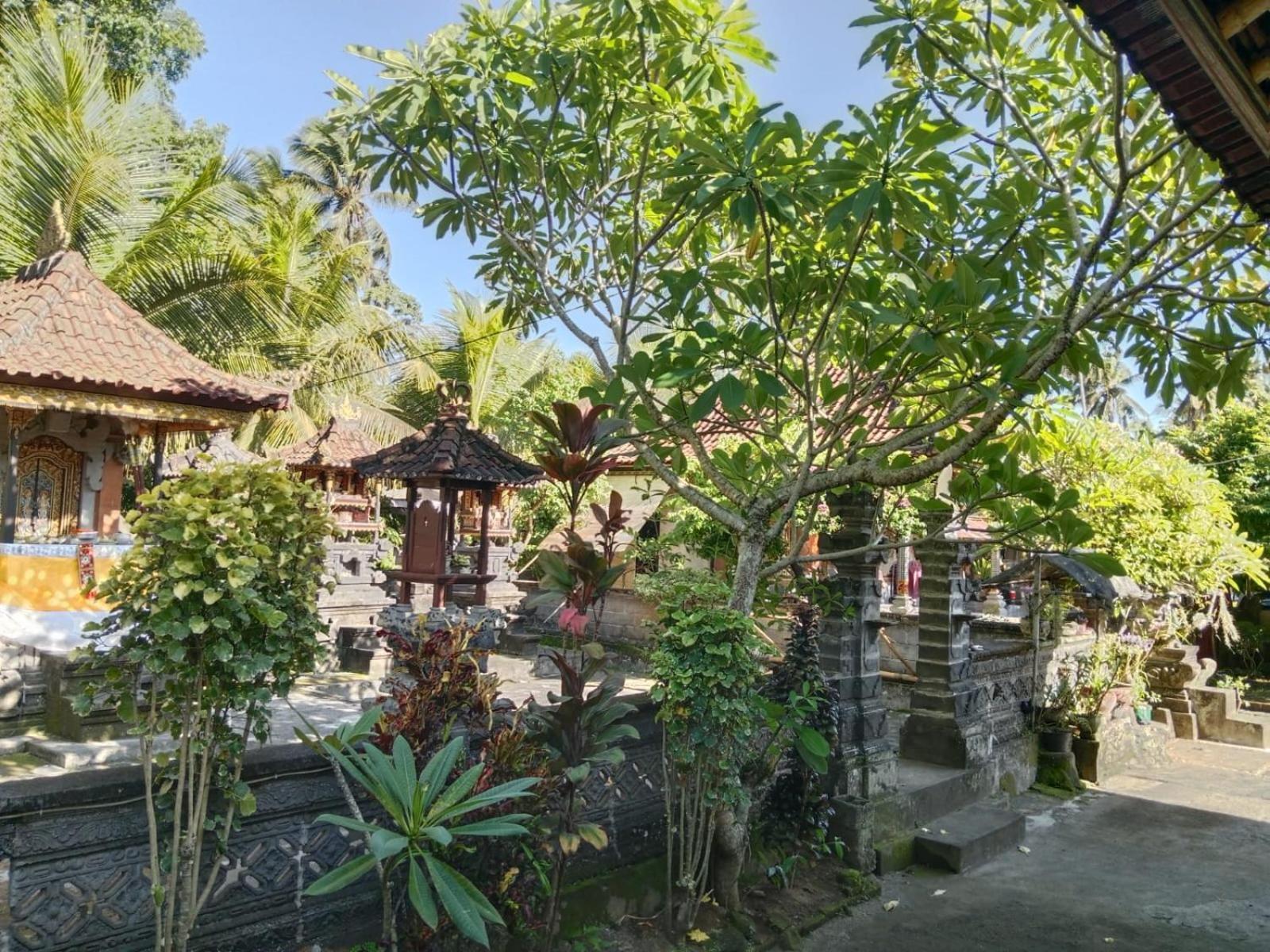 Wikan House Bebandem Buitenkant foto